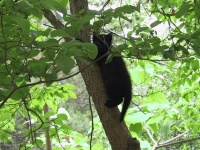 Please leave now.jpg